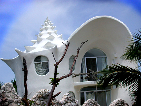 Download this The Conch Shell House... picture