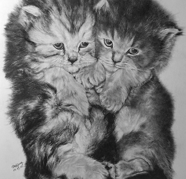 pencil drawings by Paul Lung