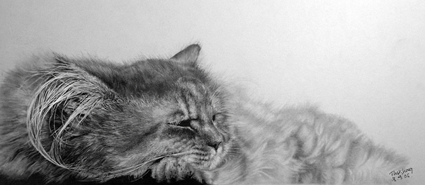 pencil drawings by Paul Lung