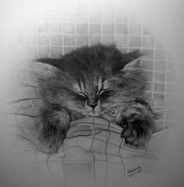 pencil drawings by Paul Lung