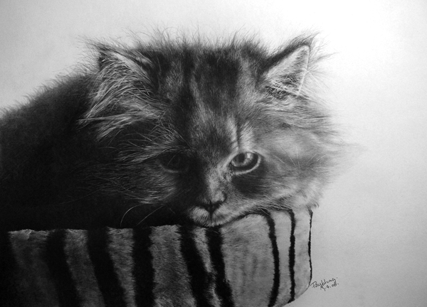 pencil drawings by Paul Lung