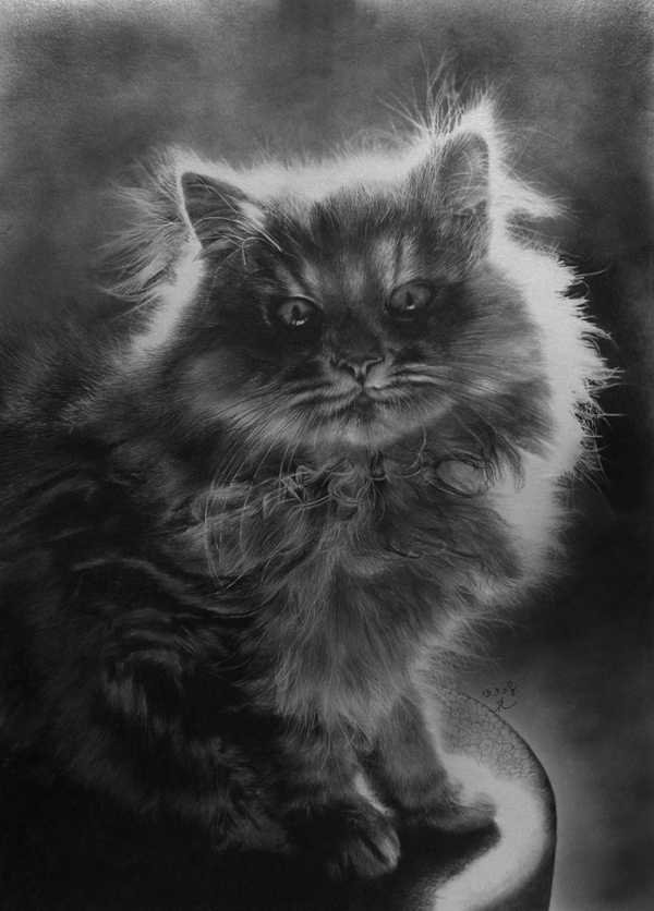 pencil drawings by Paul Lung