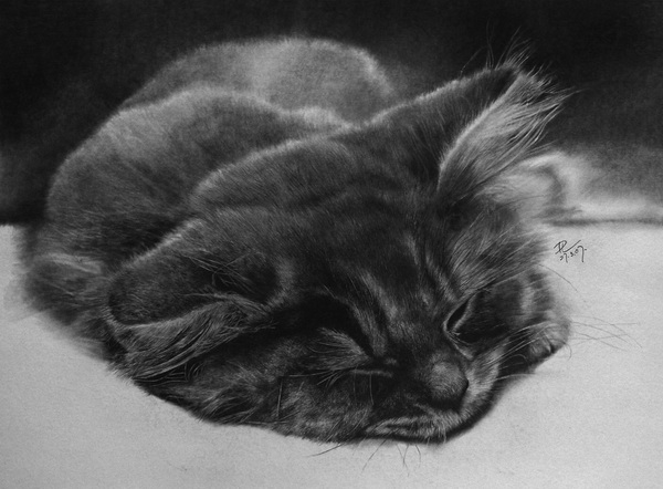 pencil drawings by Paul Lung