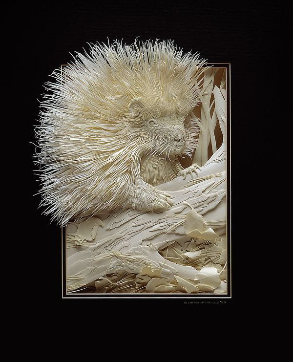 paper sculptures