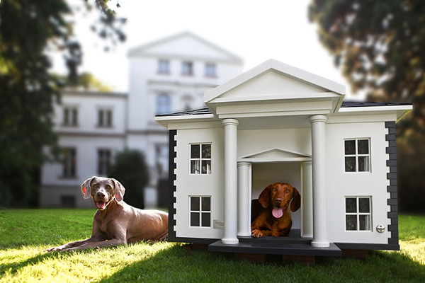 dog mansion