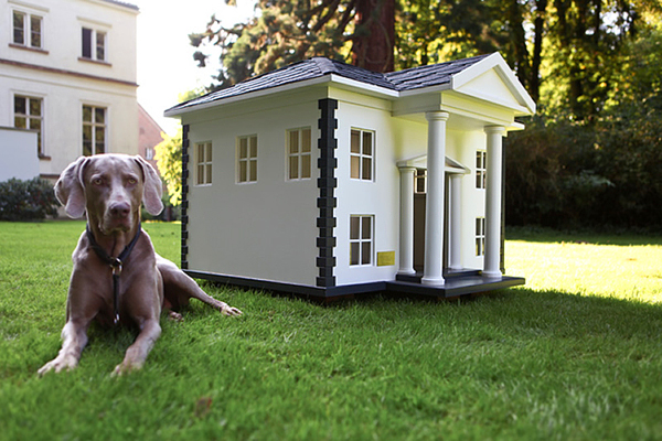 dog mansion