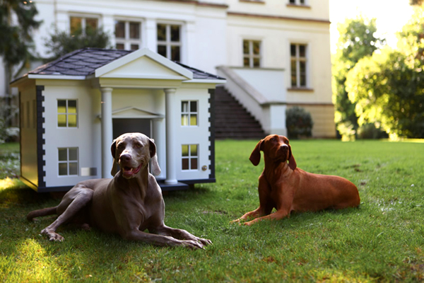 dog mansion