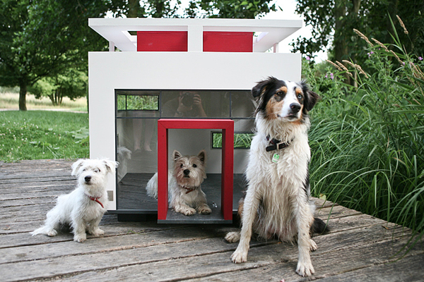 dog mansion