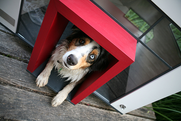 dog mansion