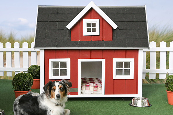 dog mansion