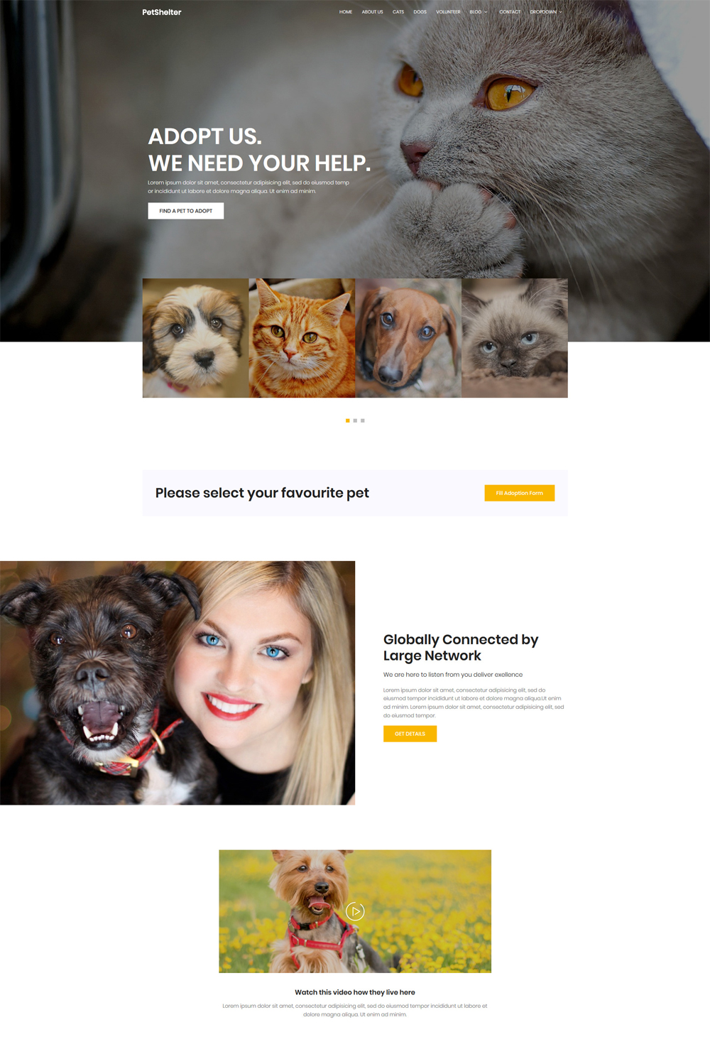 15+ Best Free Animal & Pets Templates