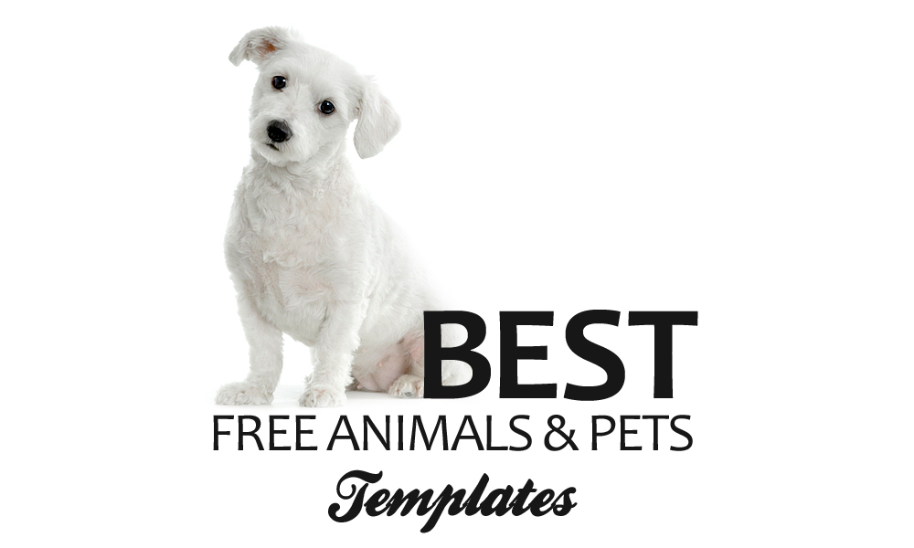 15+ Best Free Animal & Pets Templates