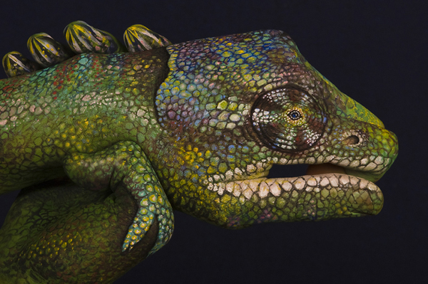 Guido Daniele Handimals