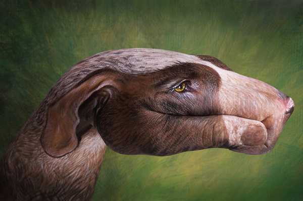 Guido Daniele