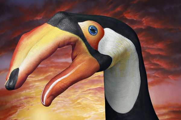 Guido Daniele Handimals