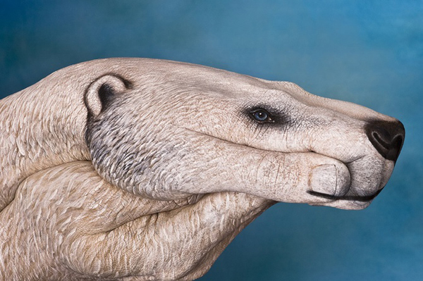 Guido Daniele Handimals