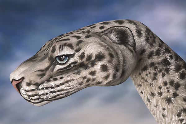 Guido Daniele Handimals