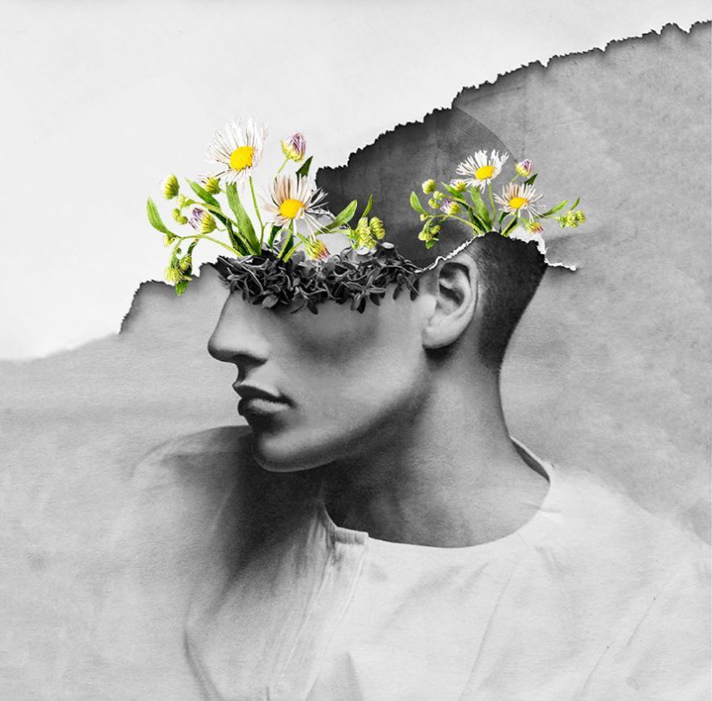 Graceful Flowery Collages by Maja Egli