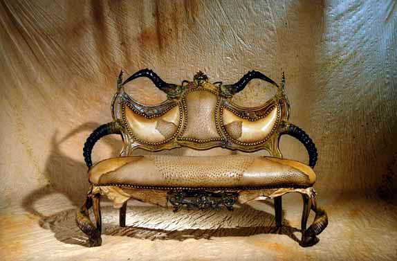 Horned Furniture from Michel Haillard