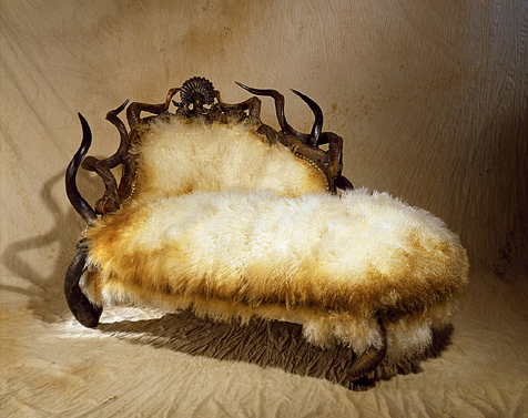 Horned Furniture from Michel Haillard