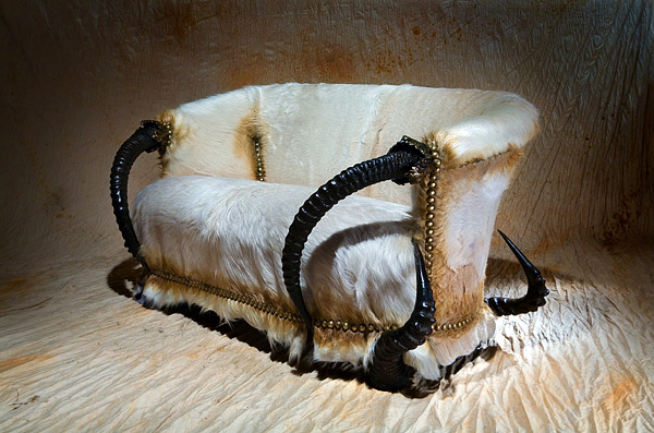 Horned Furniture from Michel Haillard