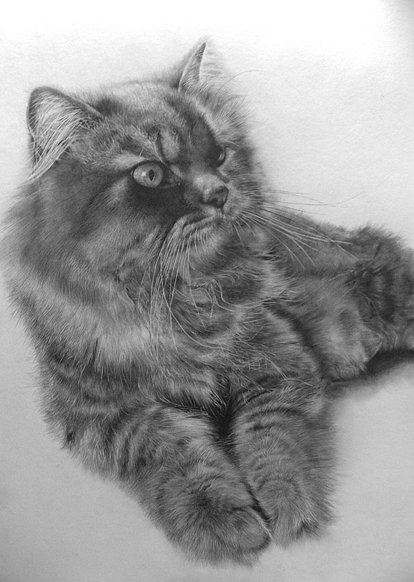 pencil drawings by Paul Lung