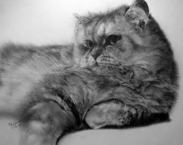 pencil drawings by Paul Lung