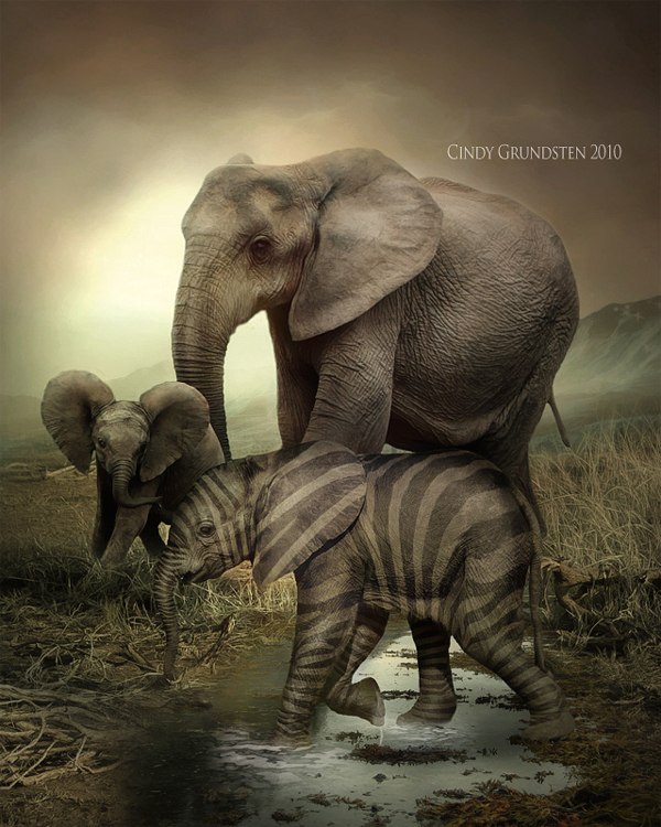 photo manipulations