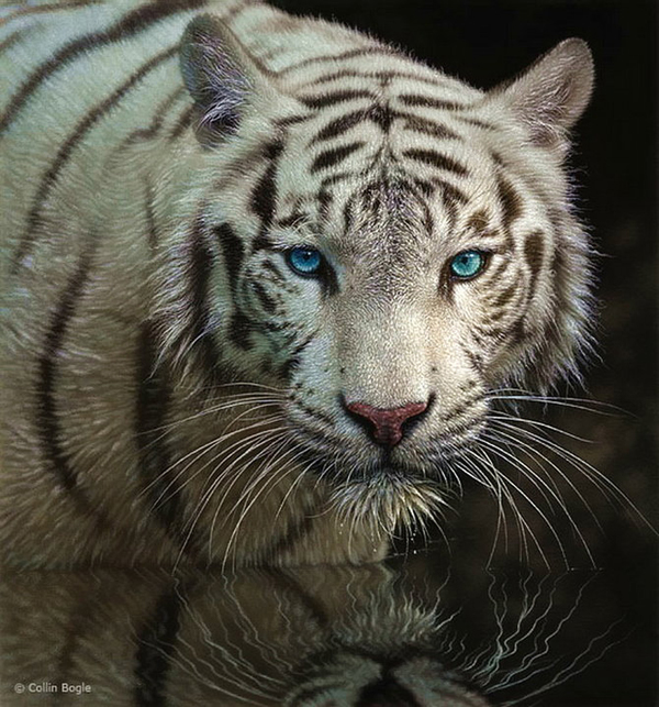 realisitc paintings