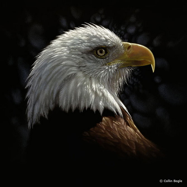 realisitc paintings