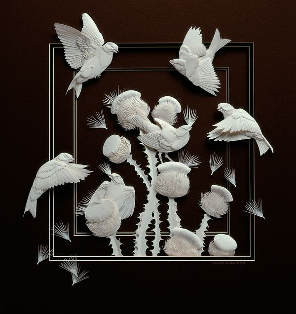paper sculptures