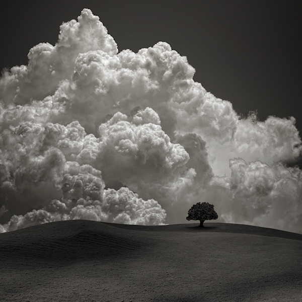 beautiful photos