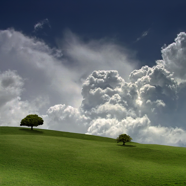 beautiful photos