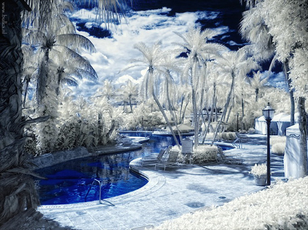 snowy photos