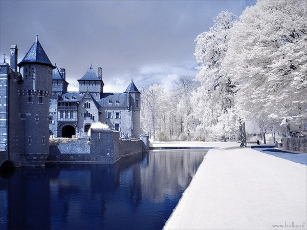 snowy photos