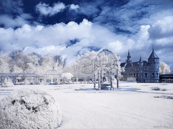 snowy photos