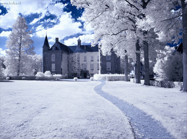 snowy photos