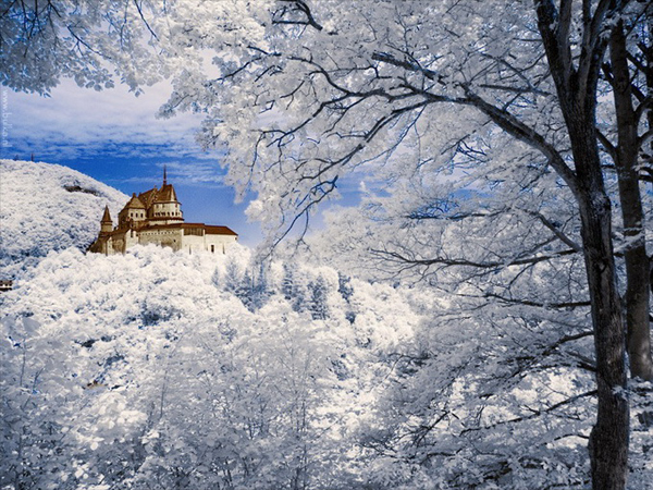 snowy photos