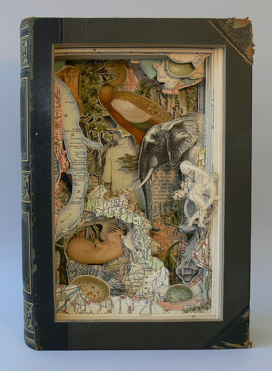 Alexander Korzer-Robinson book sculptures