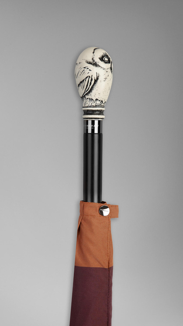 limited edition umbrellas