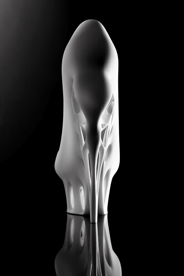Biomimicry Shoe