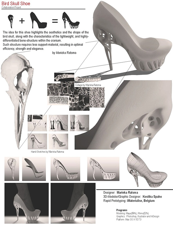 shoe