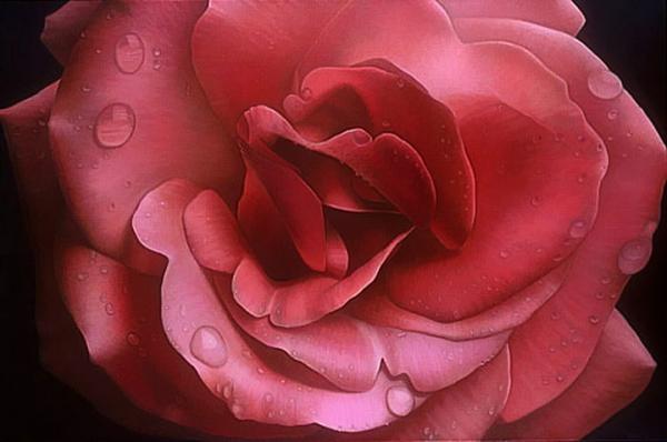 paintings