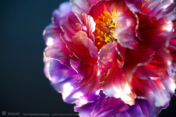 realistic flowers