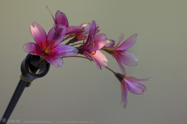 Kanzashi Sakae