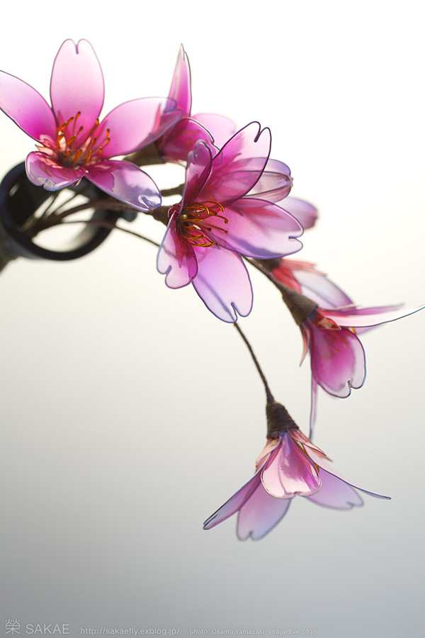 realistic flowers