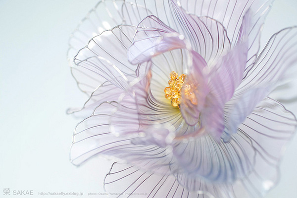 Kanzashi Sakae