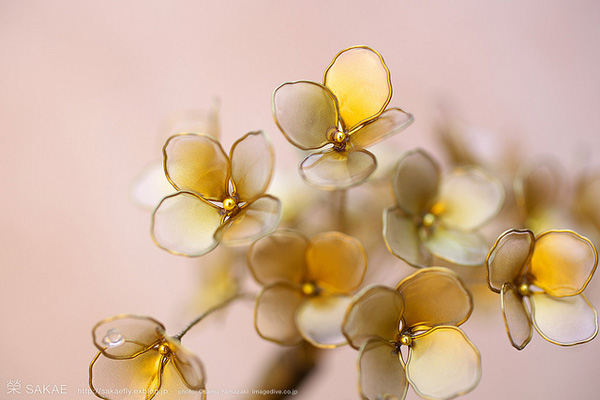 hair ornaments