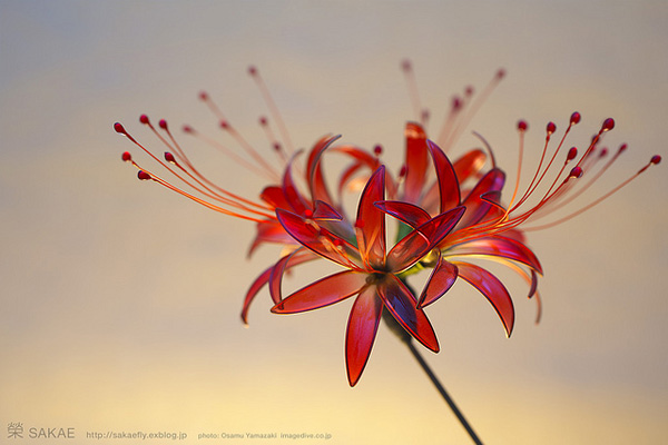 Kanzashi