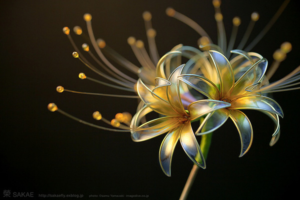 Kanzashi Sakae